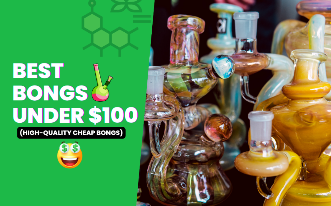 best bongs under $100 featured image