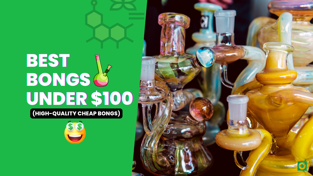 11 Best Bongs Under $100 (High-Quality Cheap Bongs)