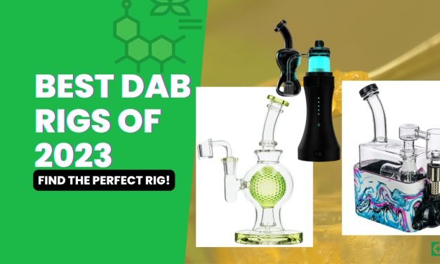 Best Dab Rigs of 2023 (Find The Perfect Dab Rig)