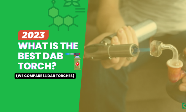 What is the Best Dab Torch? (13 Dab Torches compared)