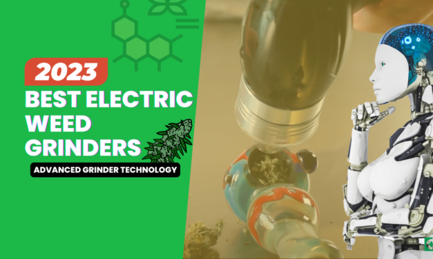 8 Best Electric Weed Grinders That Will Blow Your Mind