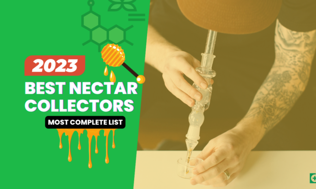10 Best Nectar Collectors of 2024 (Most Complete List)