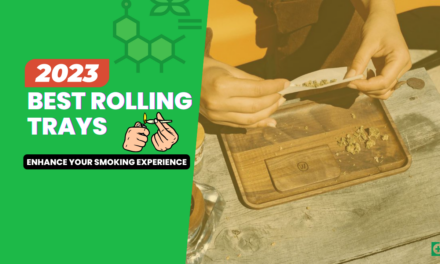 14 Best Rolling Trays For 2023 (You Won’t Believe This List!)