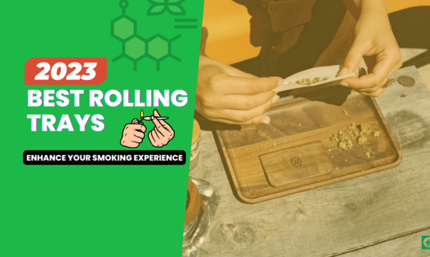 14 Best Rolling Trays For 2023 (You Won’t Believe This List!)