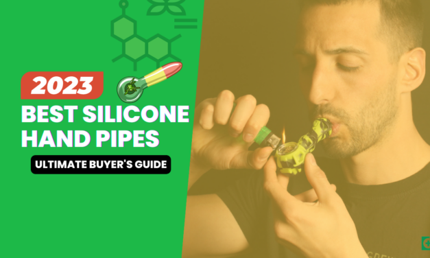 5 Best Silicone Hand Pipes (2023 Ultimate Buyer’s Guide)