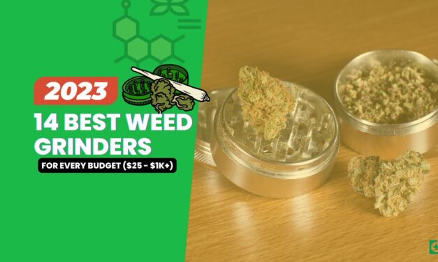 14 Best Weed Grinders in 2023 for Every Budget ($25 – $1k+)