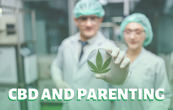 CBD and Parenting: What Parents Should Know about Kids Using CBD