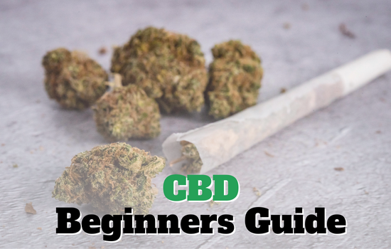 CBD Beginners Guide: Best Guide To Getting Started With CBD