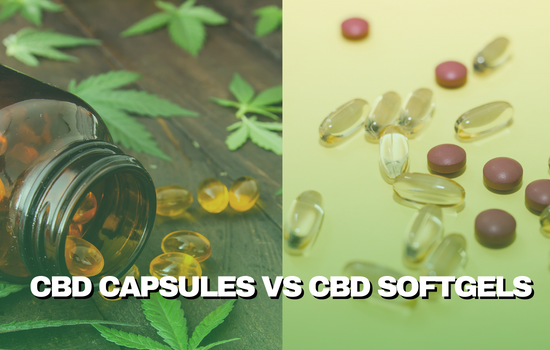 cbd-capsules-vs-cbd-softgels