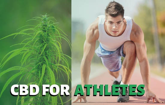 (Cannabidiol) CBD for athletes – What You Need to Know?