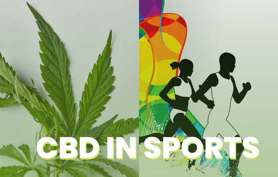 CBD in Sports: Is CBD Can Boost Your Performance?
