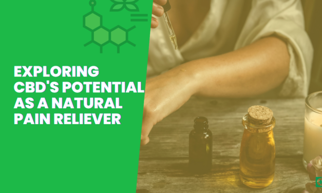 Exploring CBD’s Potential as a Natural Pain Reliever