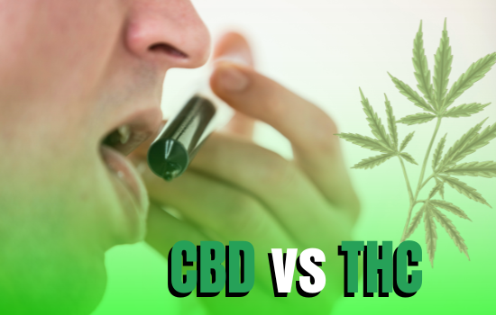 CBD vs THC: Key Differences & Which is Better For Your Lifestyle