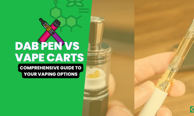Dab Pen vs Cart: 2024 Best Guide to Your Vaping Options