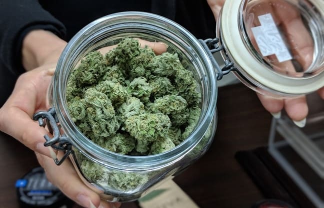 How To Store Cannabis Ultimate Guide