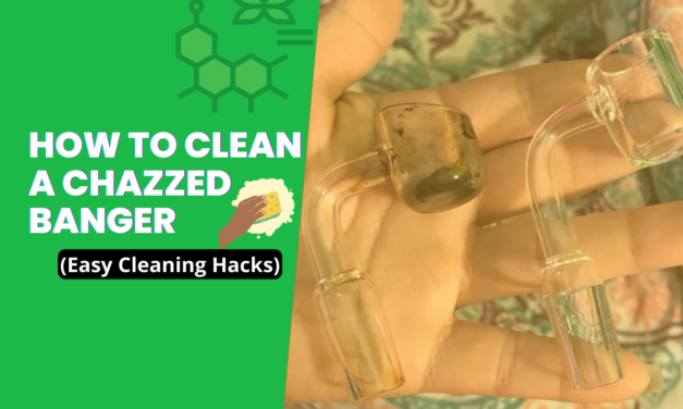 How To Clean A Chazzed Banger (Easy Cleaning Hacks 2024)