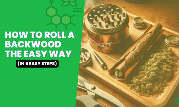 How To Roll A Backwood The Easy Way (In 5 Easy Steps)