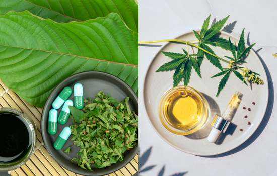 Kratom vs CBD: Which One Is Better For Anxiety, Pain, Energy, & Sleep In 2023