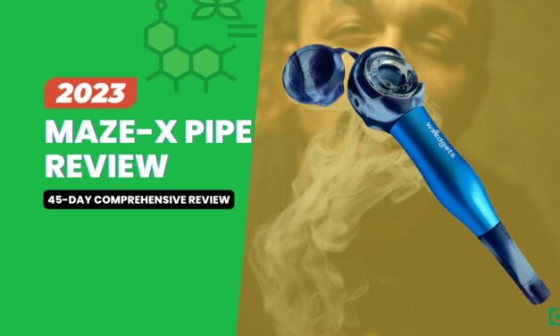 MAZE-X Pipe Review: A 45-Day Comprehensive Review (2023)