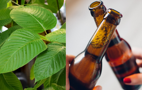 Kratom and Alcohol: Effect, Overdose, and risk
