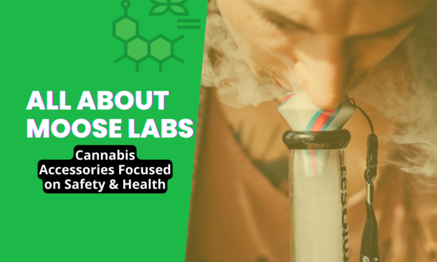 Moose Labs: Cannabis Accessories Focused on Safety & Health