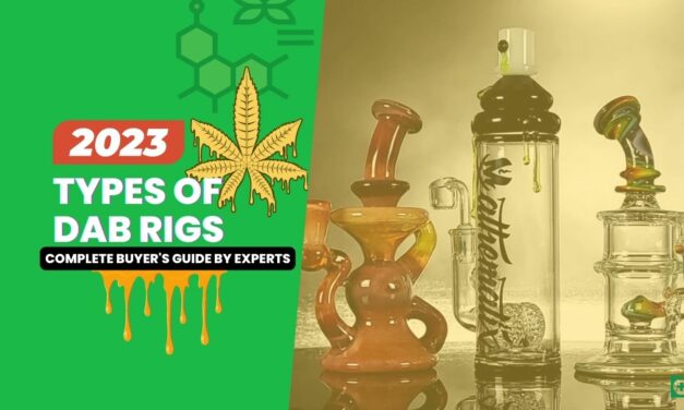Types Of Dab Rigs (2023 Complete Buyer’s Guide By Experts)