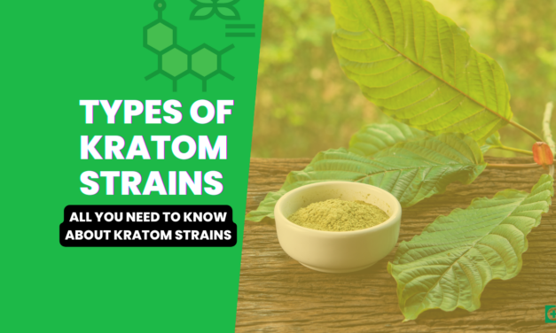 Types Of Kratom Strains: All You Need To Know About Kratom Strains