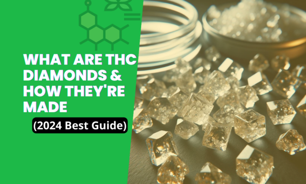What Are THC Diamonds & How They’re Made (2024 Best Guide)