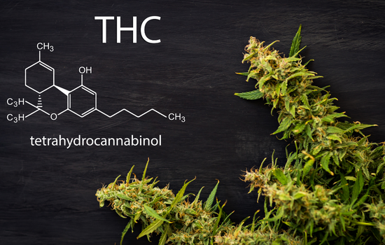 What Is THC-H? Everything You Need To Know About Tetrahydrocannabihexol